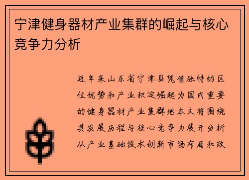 宁津健身器材产业集群的崛起与核心竞争力分析
